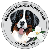 Bernese Mountain Dog Club of Ontario