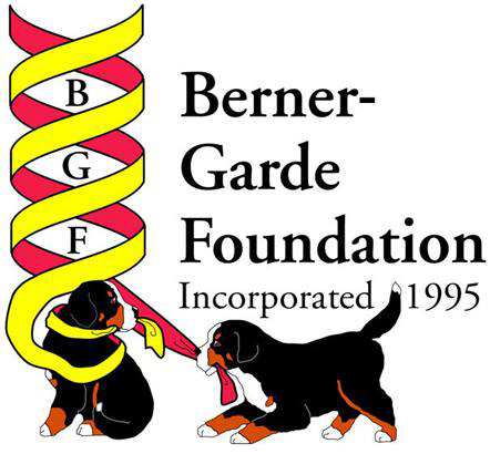 Berner-Garde Foundation Website